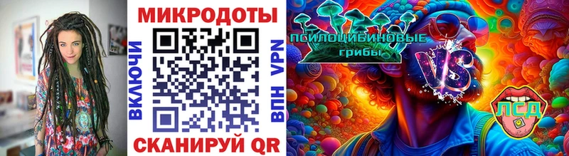 купить наркотики сайты  hydra зеркало  Галлюциногенные грибы Psilocybine cubensis  Хвалынск 